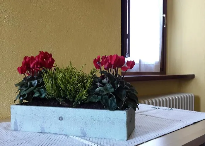 住宿加早餐酒店 查诺克斯住宿加早餐旅馆 3*